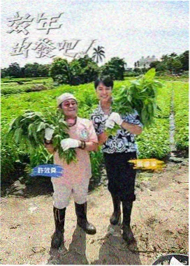 在线观看免费播放 快乐大本营2026