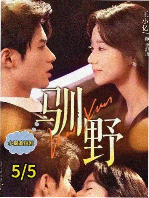 在线观看免费播放 文明之光